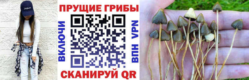 MEGA   Армянск  Галлюциногенные грибы ЛСД 