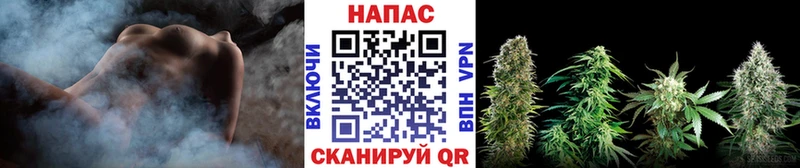 Бошки Шишки конопля  Армянск 